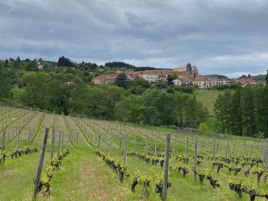 3662424941_86_roanne-7.jpg